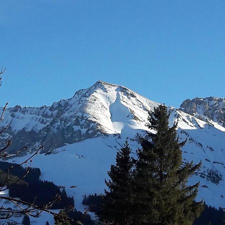 Chalet Allmegrat Adelboden Exterior photo