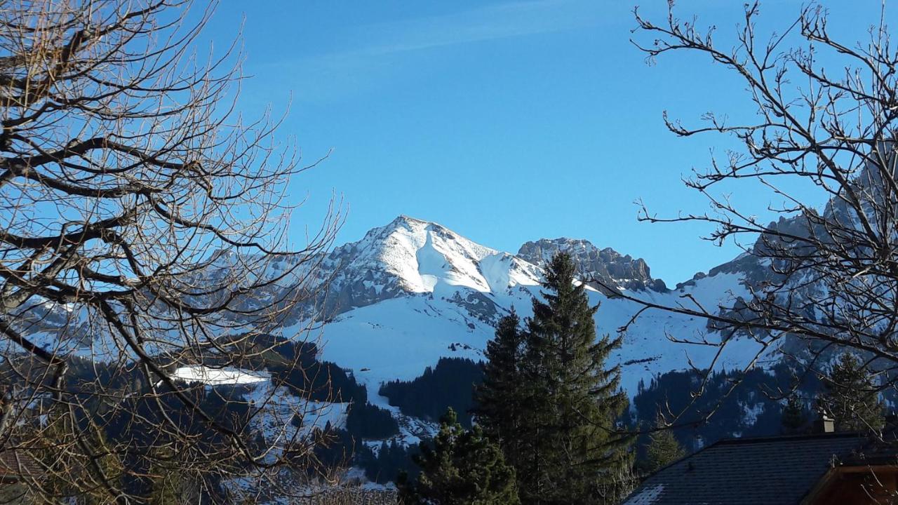 Chalet Allmegrat Adelboden Exterior photo