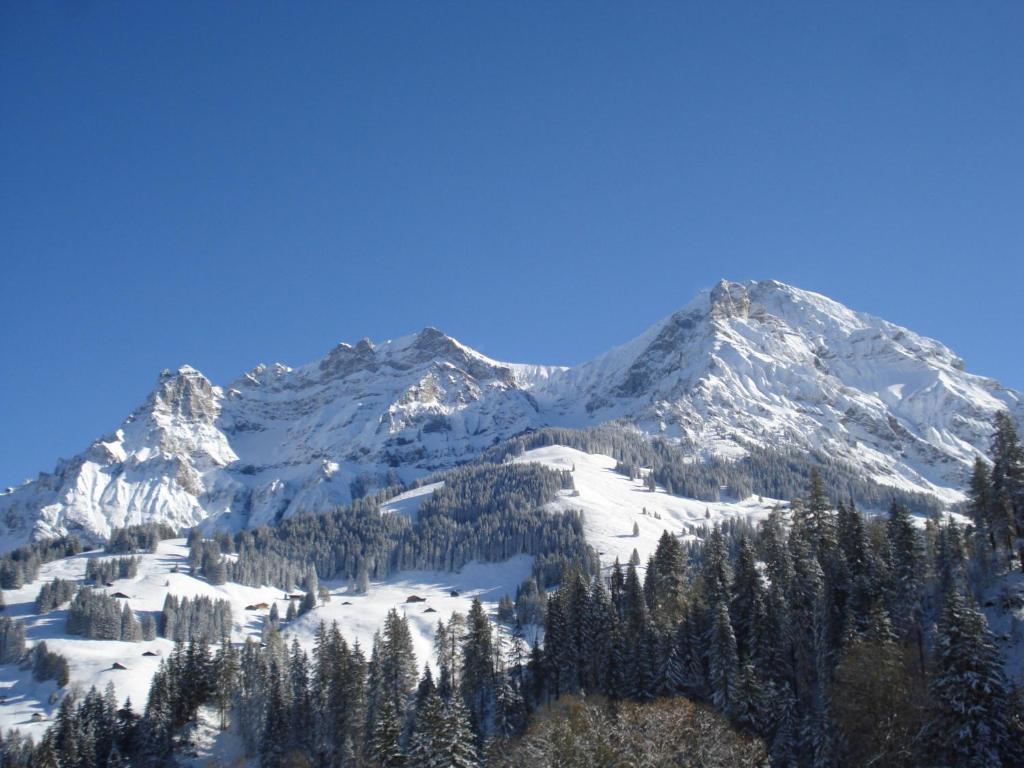 Chalet Allmegrat Adelboden Exterior photo