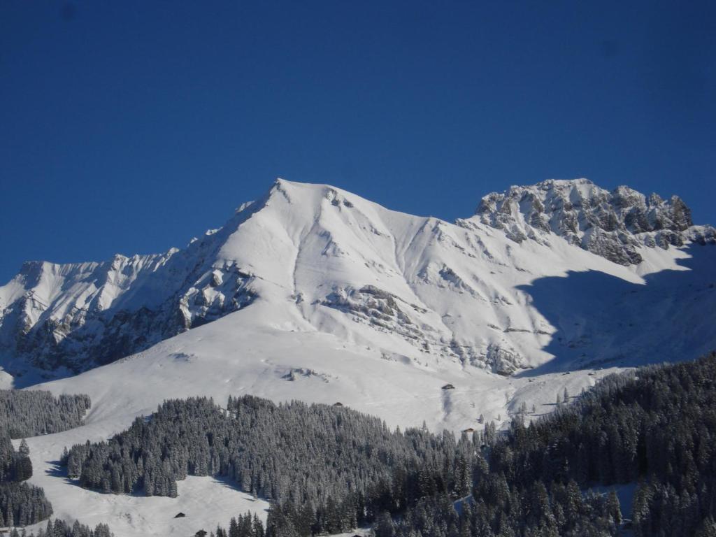 Chalet Allmegrat Adelboden Exterior photo