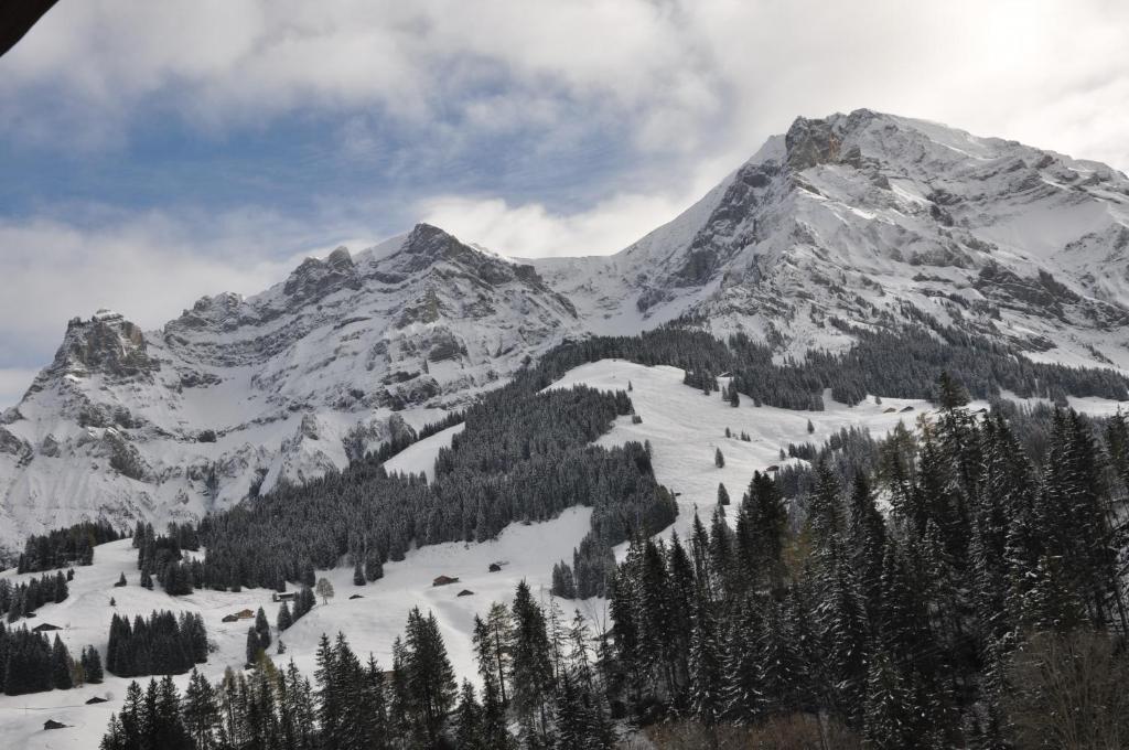 Chalet Allmegrat Adelboden Exterior photo